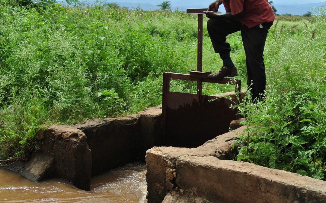 Irrigation Scheme