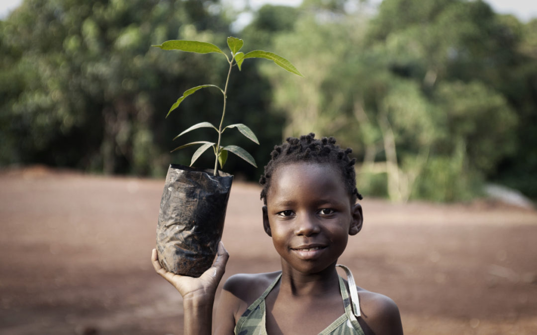 Girl with Mango Plant